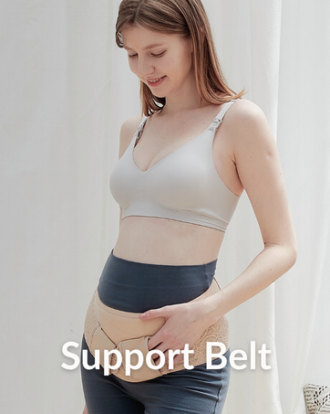 Support Belt