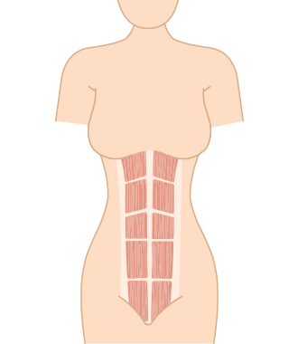 Nano Bamboo Postnatal Recovery & Support Belly Band Nano Bamboo Postnatal Recovery & Support Belly Band