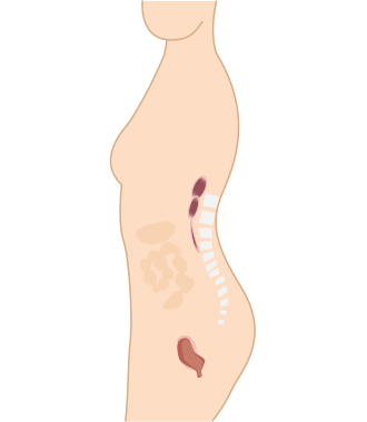 Nano Bamboo Postnatal Recovery & Support Belly Band Nano Bamboo Postnatal Recovery & Support Belly Band